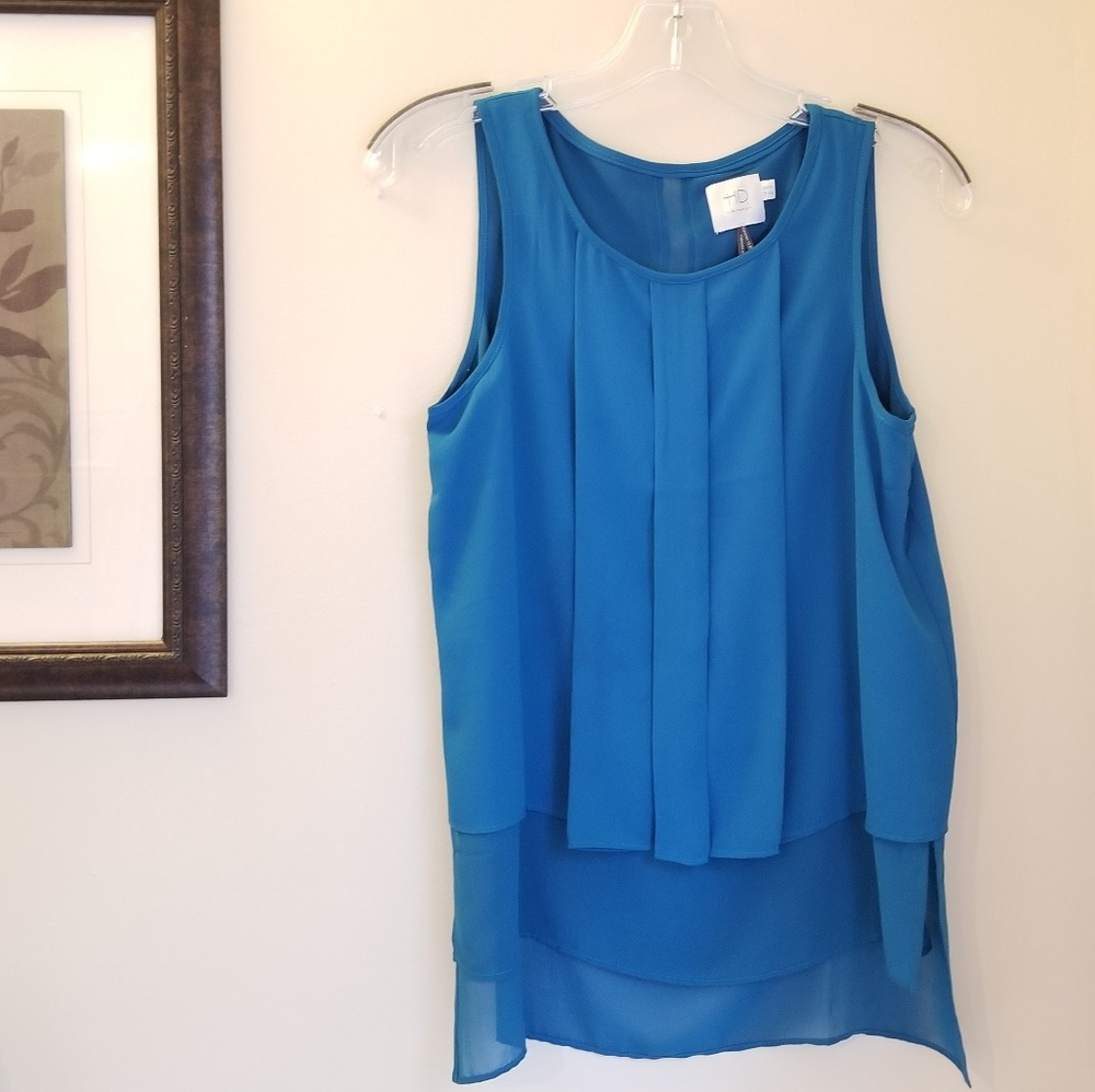 HD in Paris Anthropologie Blue Sleeveless Blouse